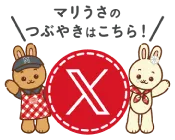 エックス