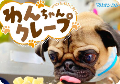 わんちゃん用クレープ